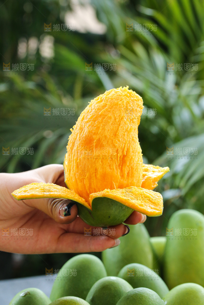 深底上的椰香芒