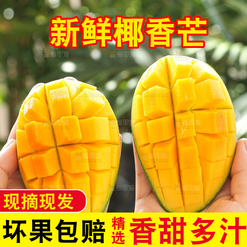 手里拿着椰香芒