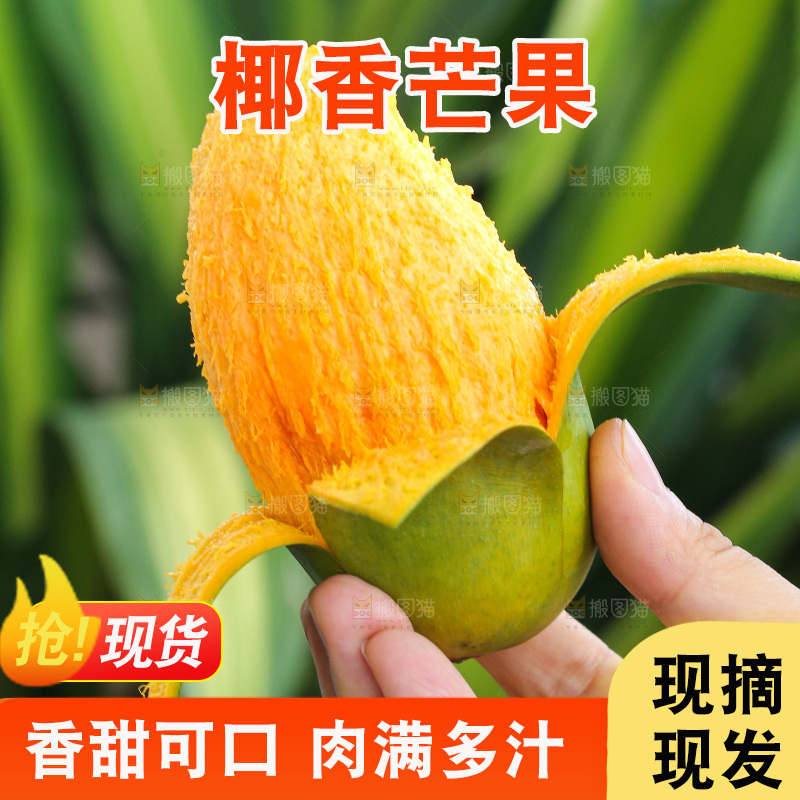 手里拿着椰香芒