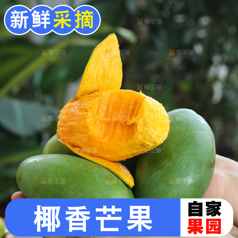 手里拿着椰香芒