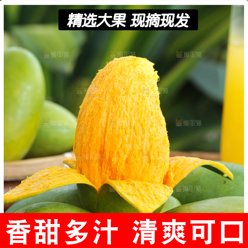 深底上的椰香芒