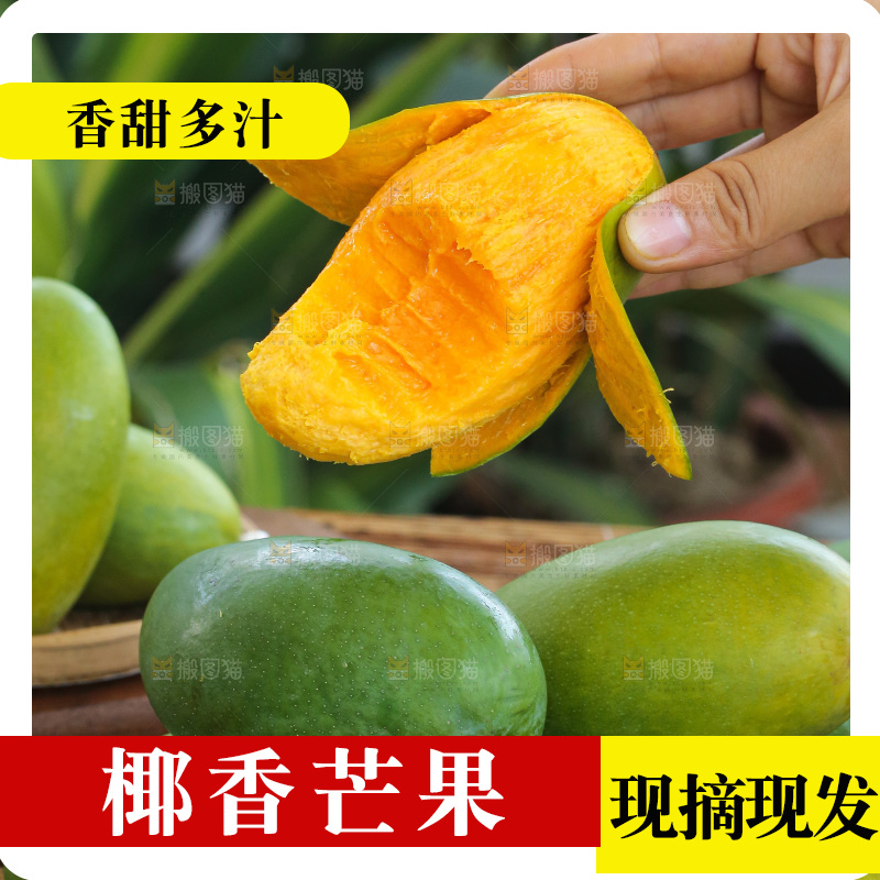 深底上的椰香芒