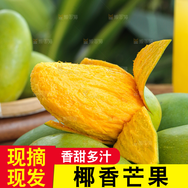 深底上的椰香芒
