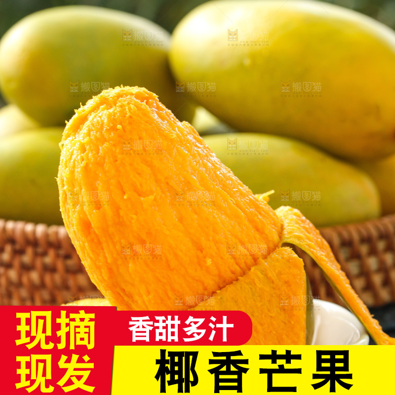 深底上的椰香芒