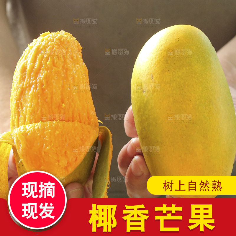 手里拿着椰香芒