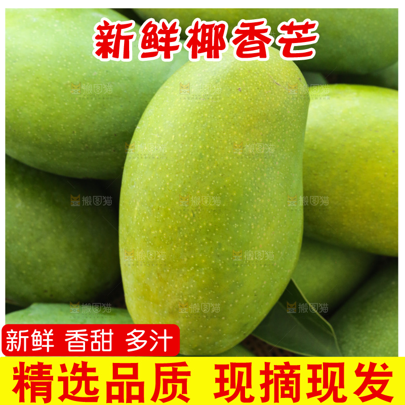 深底上的椰香芒