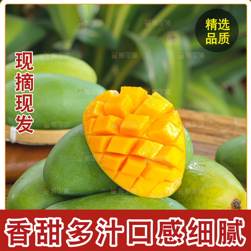 深底上的椰香芒