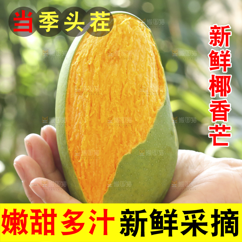 手里拿着椰香芒