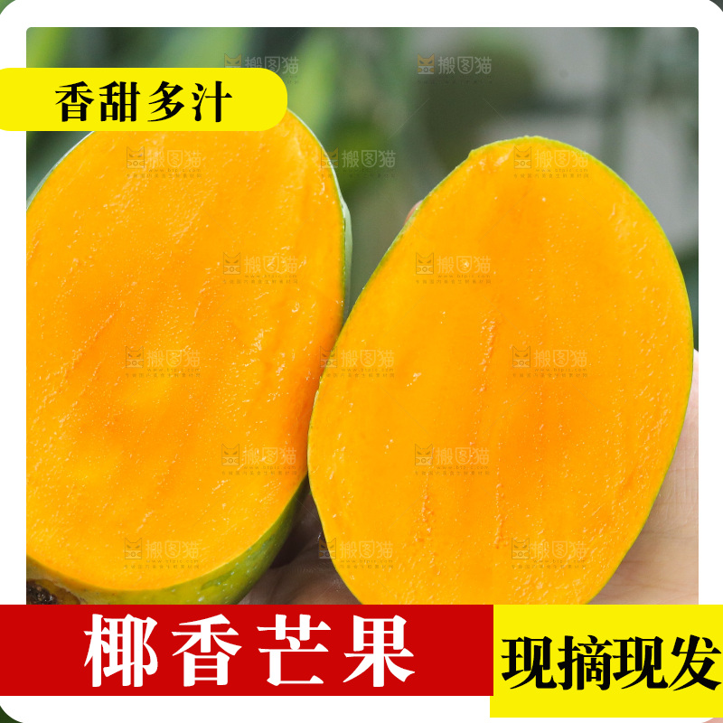 深底上的椰香芒