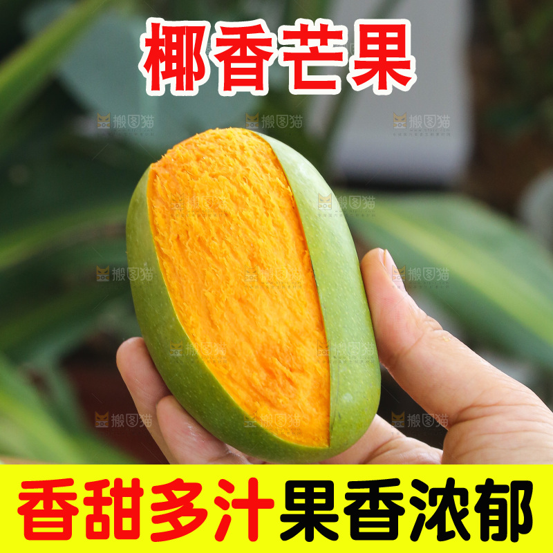 手里拿着椰香芒