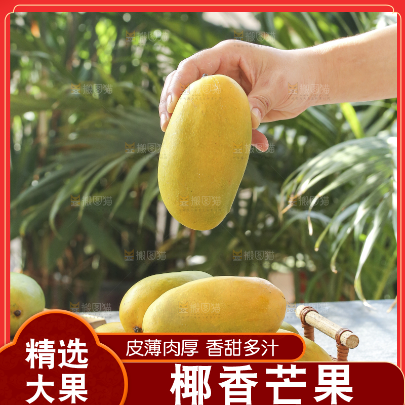 手里拿着椰香芒