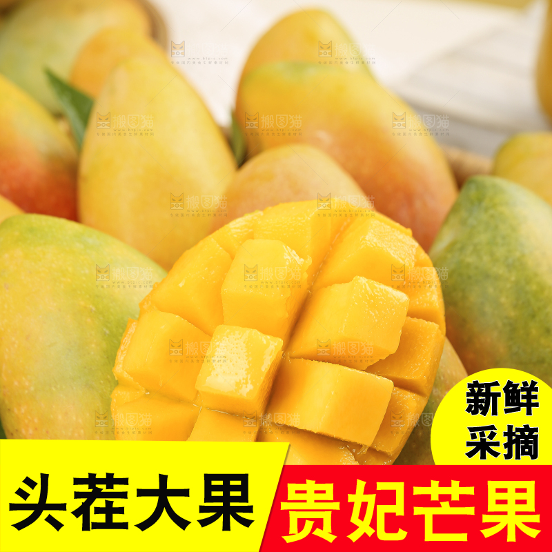浅底上的贵妃芒