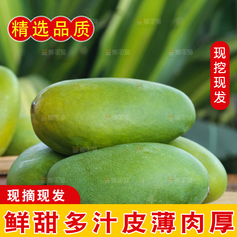 深底上的椰香芒