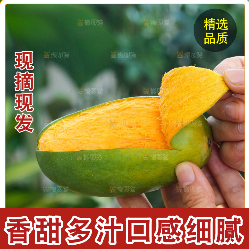 手里拿着椰香芒