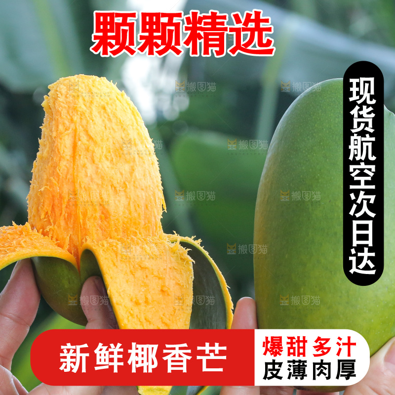 手里拿着椰香芒