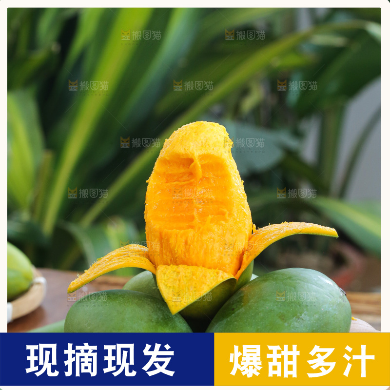 手里拿着椰香芒