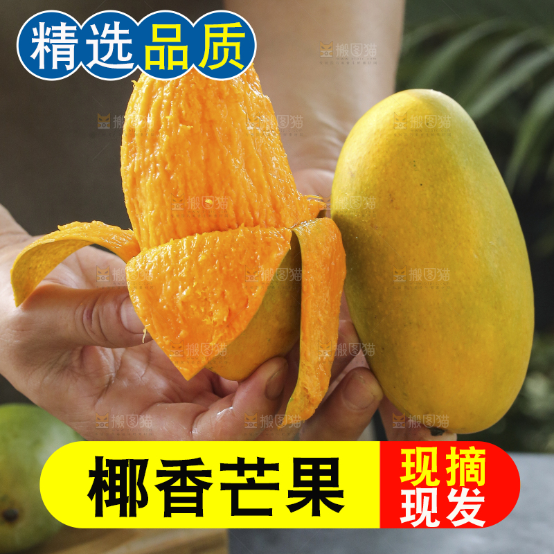 手里拿着椰香芒