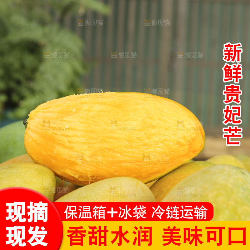 深底上的贵妃芒