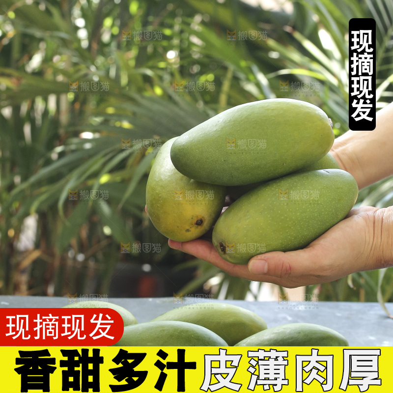手里拿着椰香芒