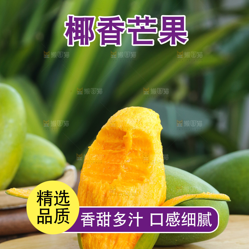 深底上的椰香芒