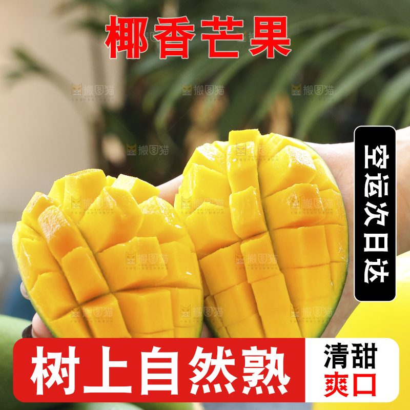 深底上的椰香芒