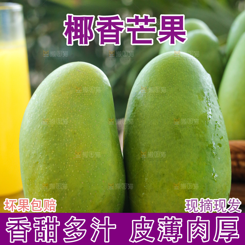 深底上的椰香芒
