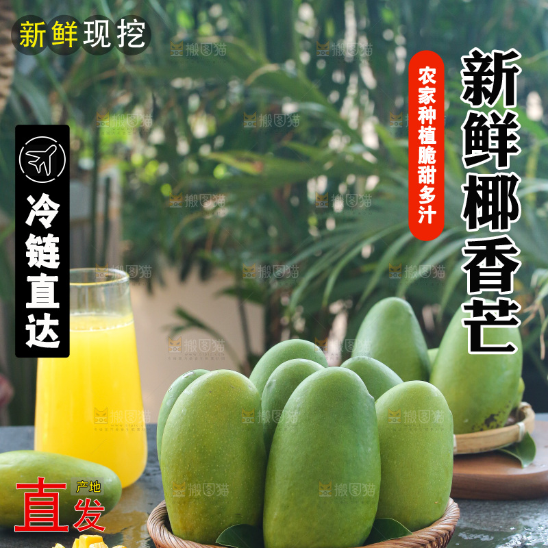 深底上的椰香芒