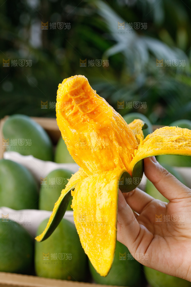 手里拿着椰香芒