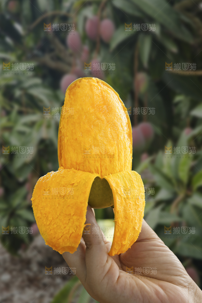 手里拿着椰香芒
