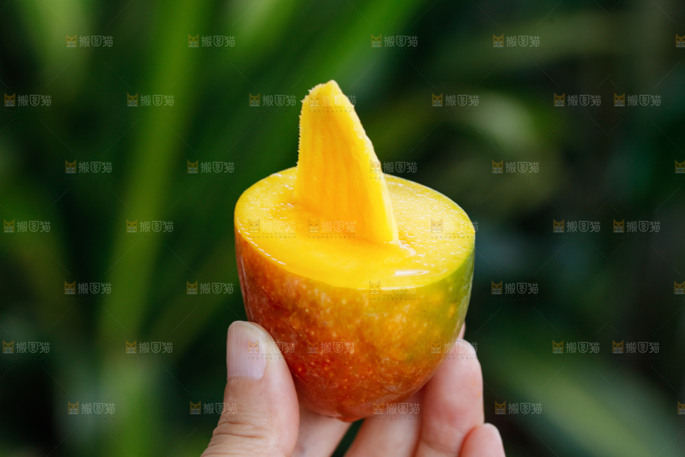 手里拿着贵妃芒