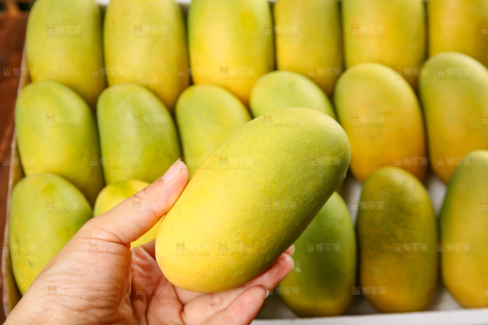 深底上的椰香芒