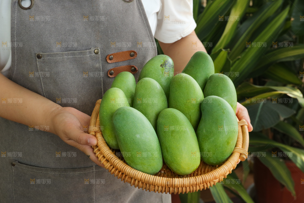 手里拿着椰香芒