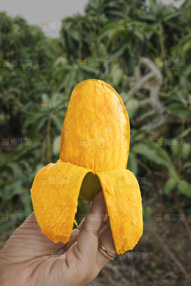 手里拿着椰香芒