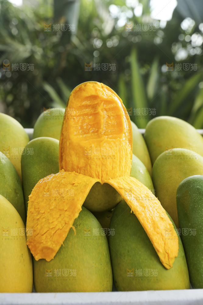 深底上的椰香芒