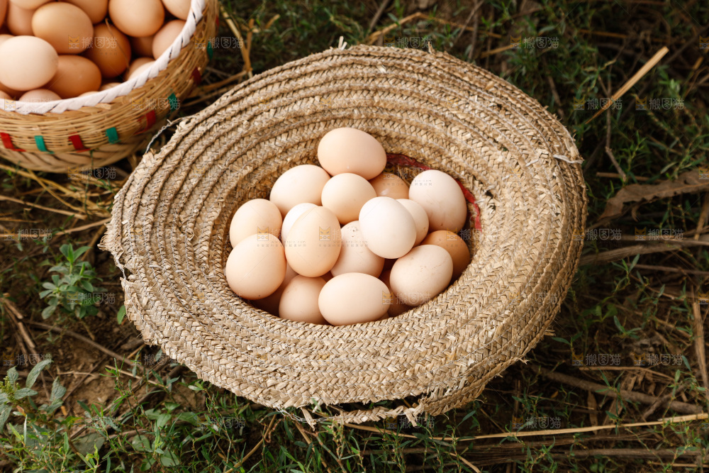 地上放着新鲜土鸡蛋