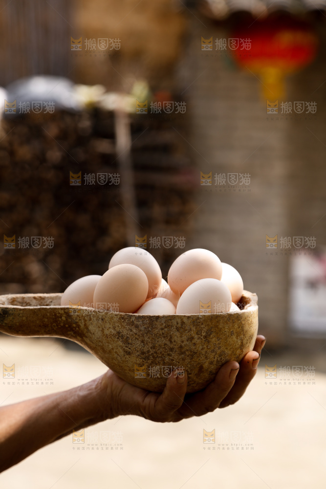 地上放着新鲜土鸡蛋