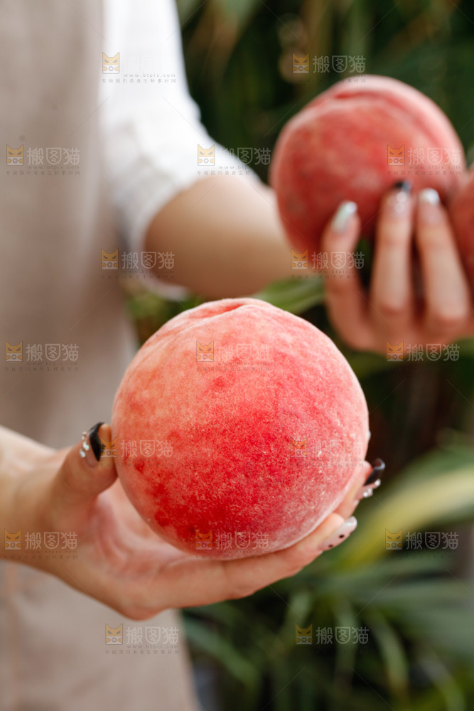 手里拿着苹果桃