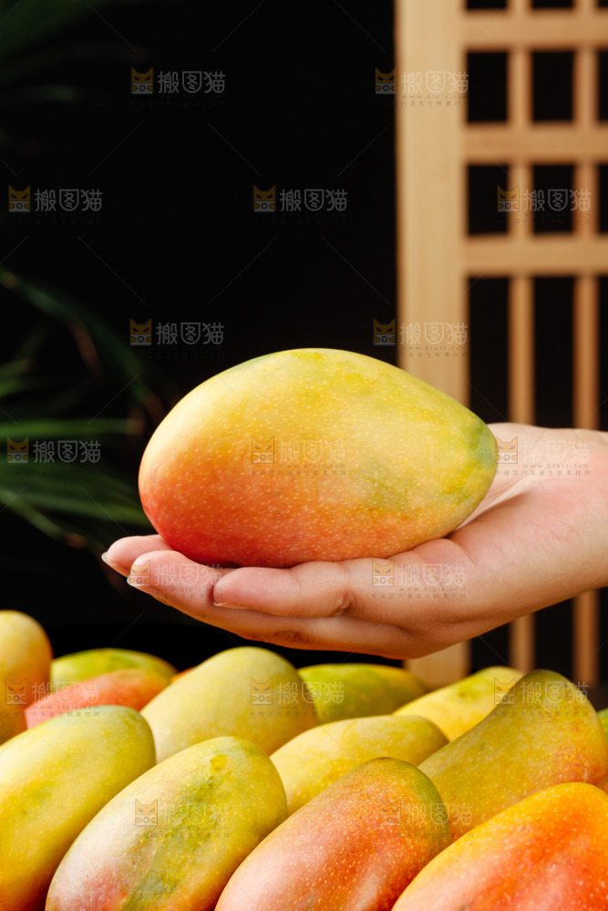 深底上的贵妃芒