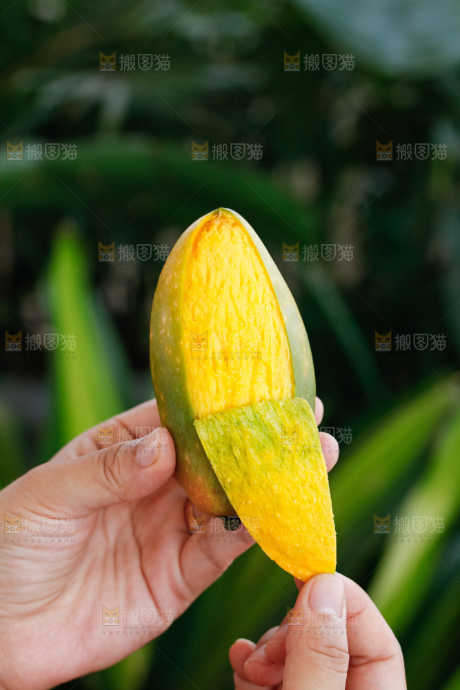 手里拿着贵妃芒