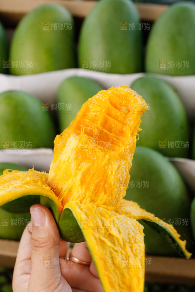 手里拿着椰香芒