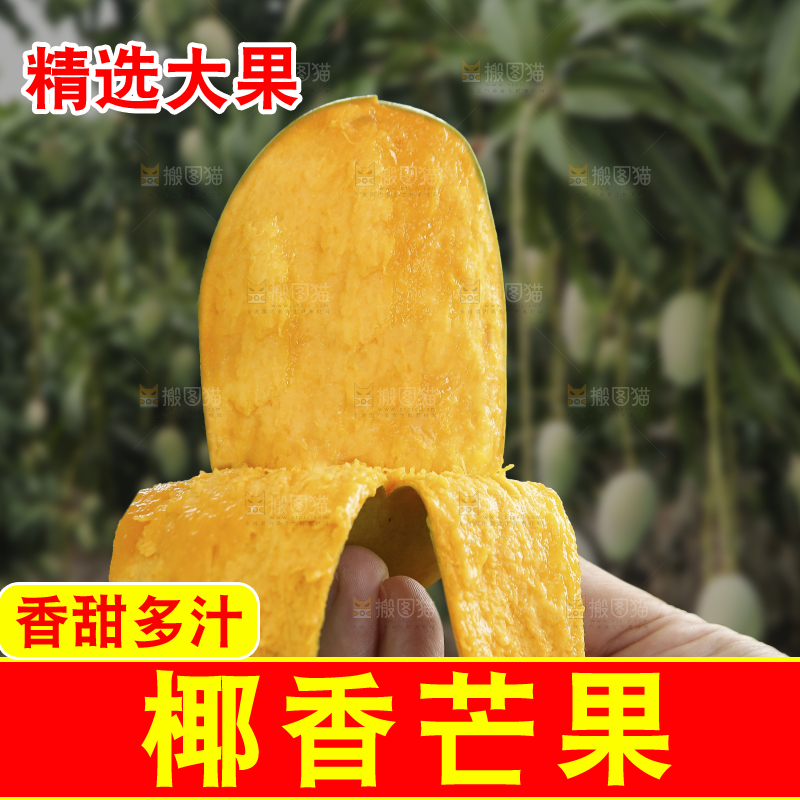 手里拿着椰香芒