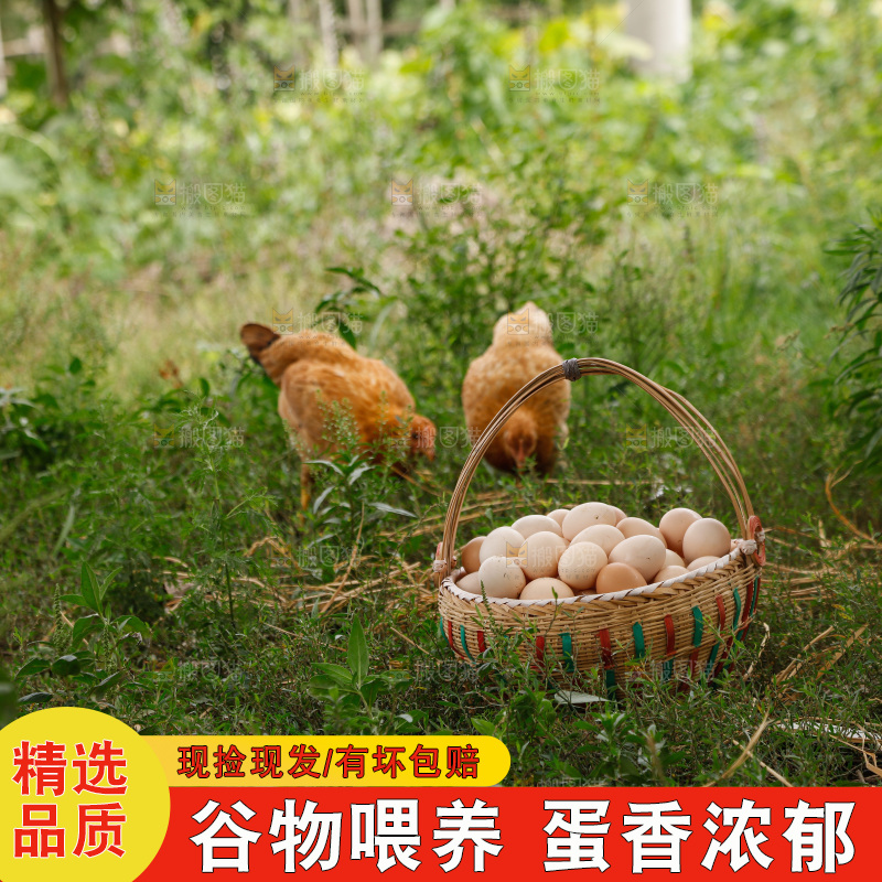 地上放着新鲜土鸡蛋