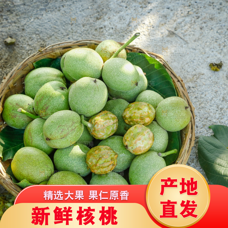 手里拿着青核桃