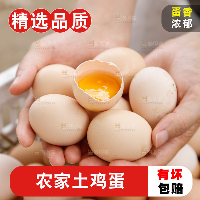 地上放着新鲜土鸡蛋