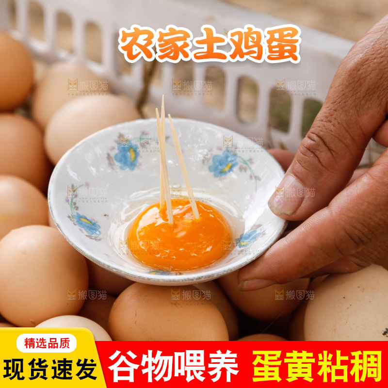地上放着新鲜土鸡蛋