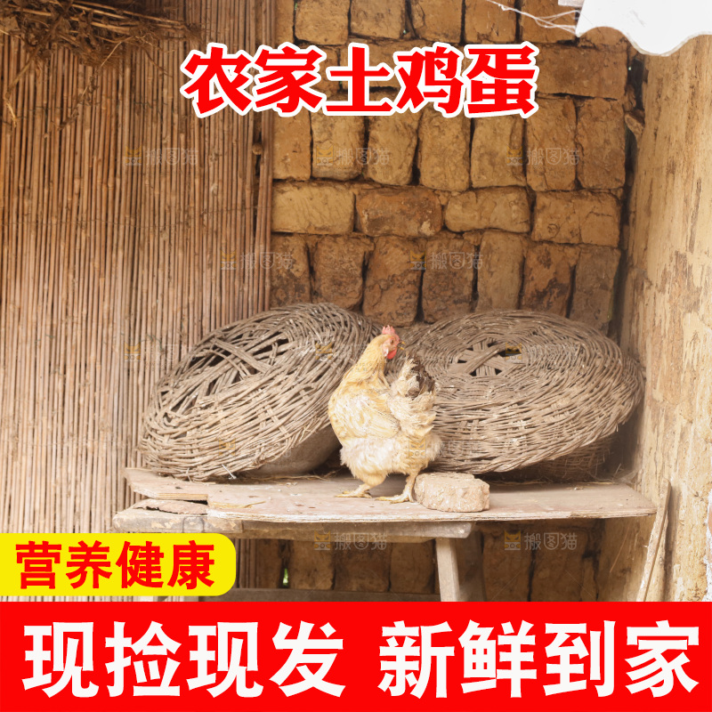 手里拿着土鸡蛋