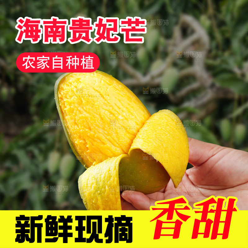 深底上的贵妃芒