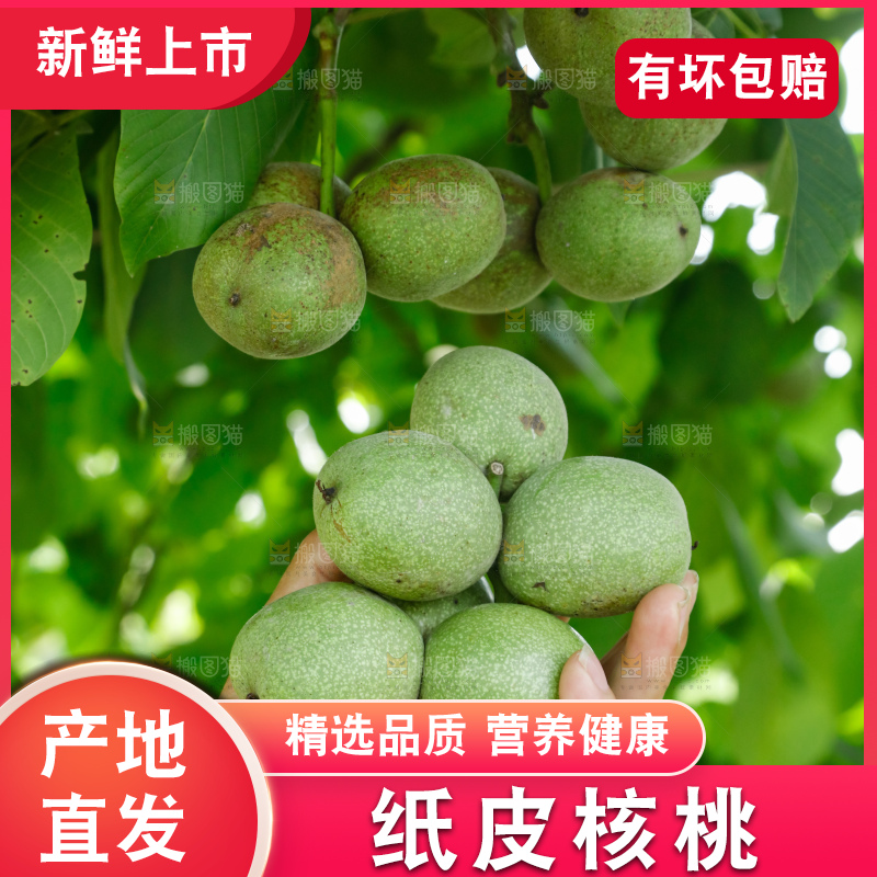 手里拿着青核桃