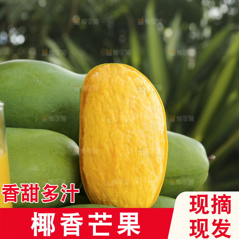 深底上的椰香芒