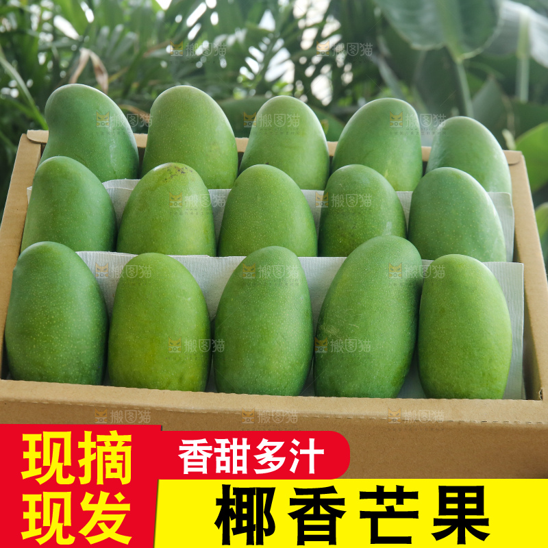 手里拿着椰香芒